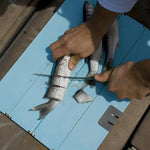 Toadfish Stowaway Cutting Board